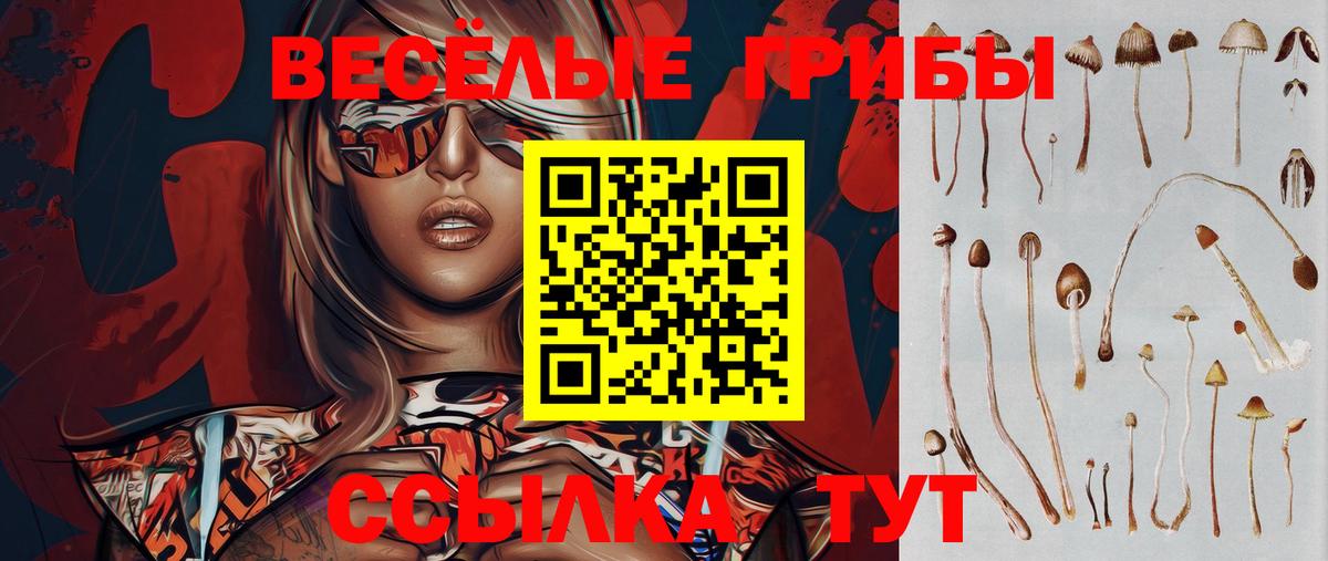 Киреевск  Галлюциногенные грибы ЛСД  купить  цена  Вход с VPN 